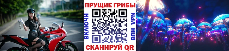 Псилоцибиновые грибы ЛСД  купить закладку  Бакал 